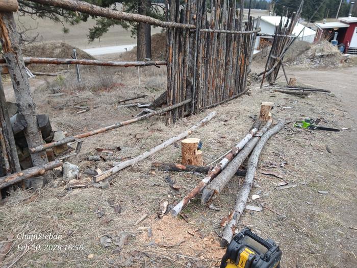 [Thumbnail for 20260220_165657.jpg]