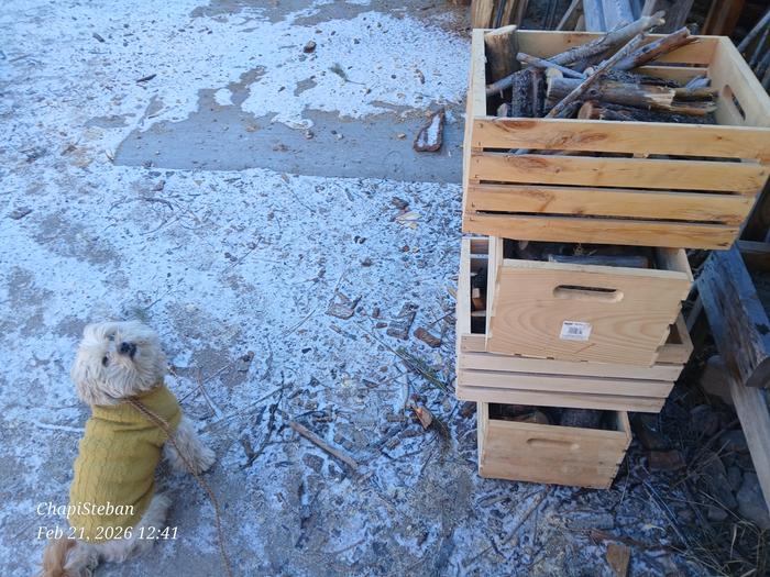 All ready for the Fischer Price house 