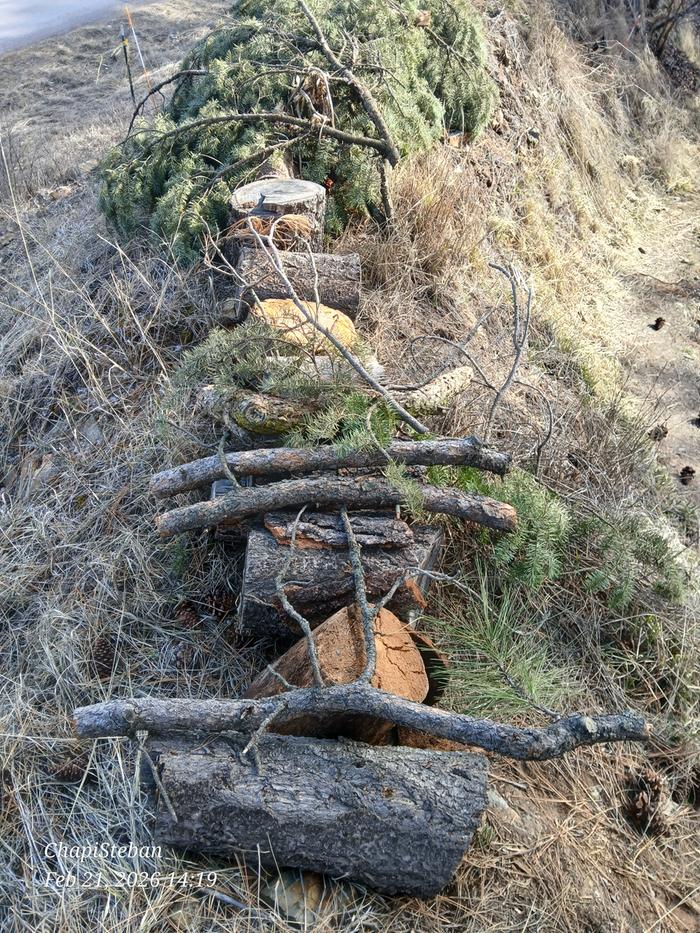 [Thumbnail for 20260221_141955.jpg]