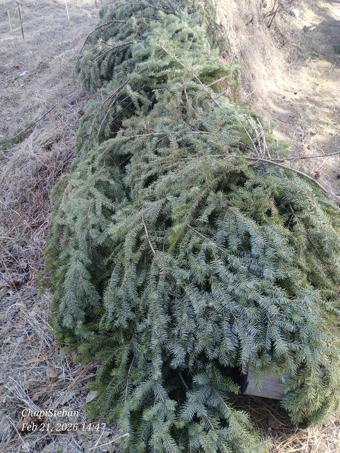 Greeny bits to make it look effortlessly boring 