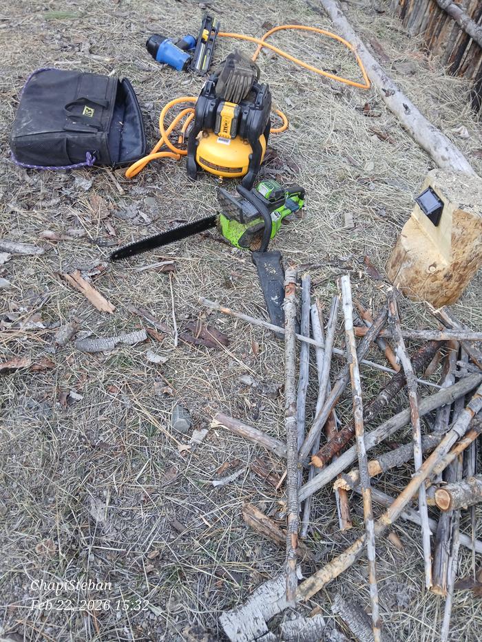 Some future woody bits