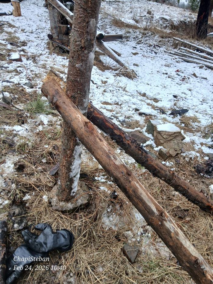 [Thumbnail for 20260224_104045.jpg]