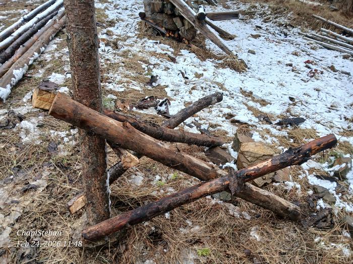 [Thumbnail for 20260224_114849.jpg]