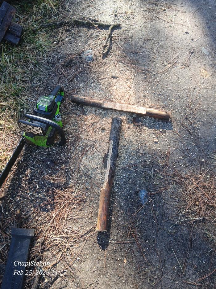 [Thumbnail for 20260225_112723.jpg]