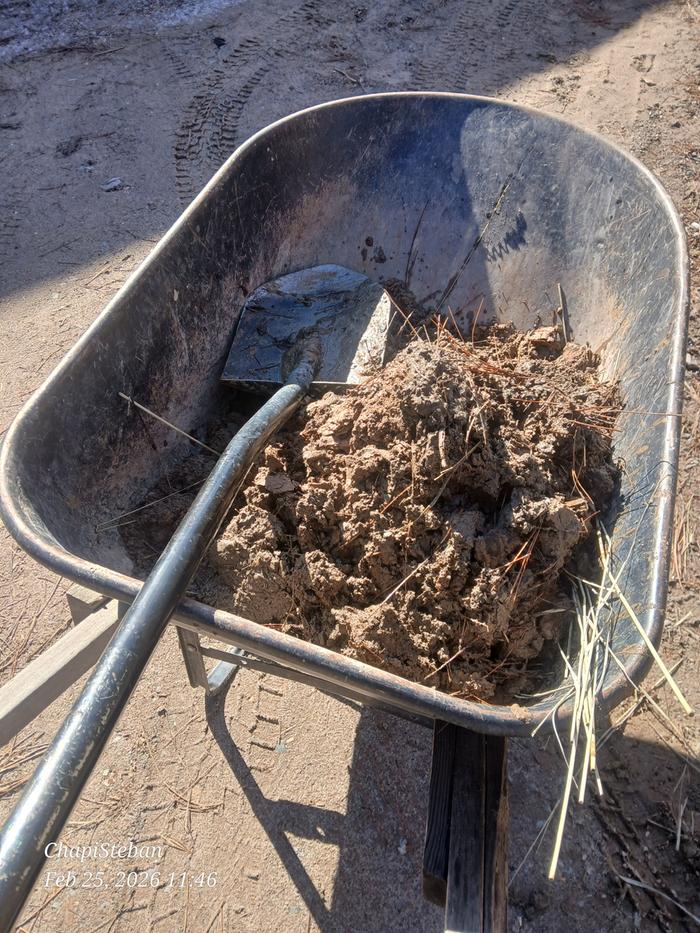 [Thumbnail for 20260225_114607.jpg]