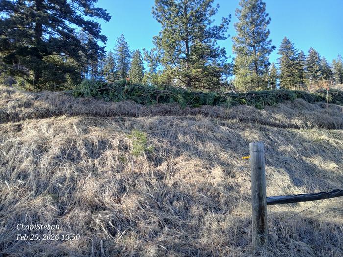 [Thumbnail for 20260225_135012.jpg]