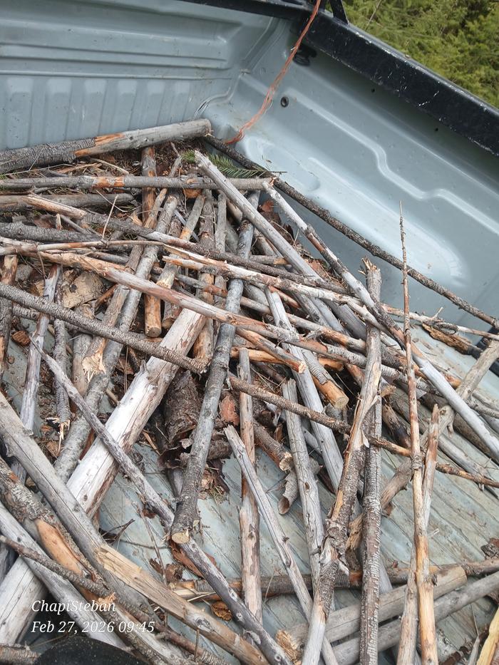 Woody bits to be processed ... clippings from junkpoles along the drive 