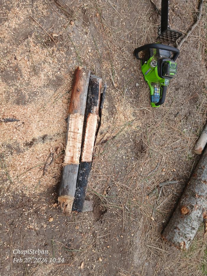 [Thumbnail for 20260227_102413.jpg]