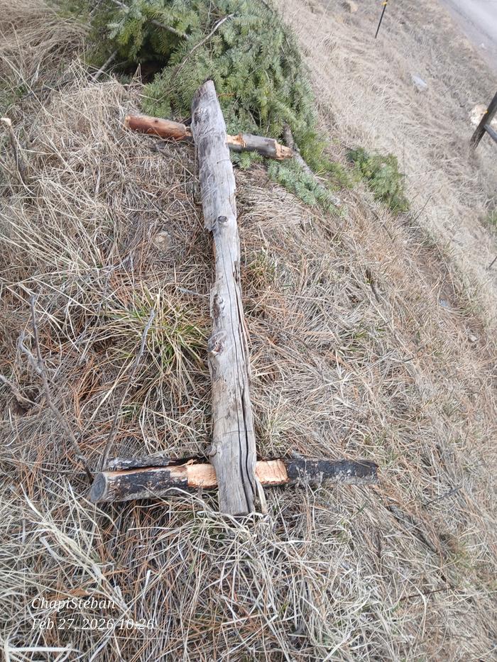 [Thumbnail for 20260227_102618.jpg]