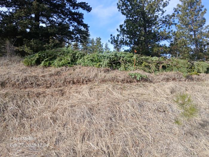 Now covered by greeny bits 