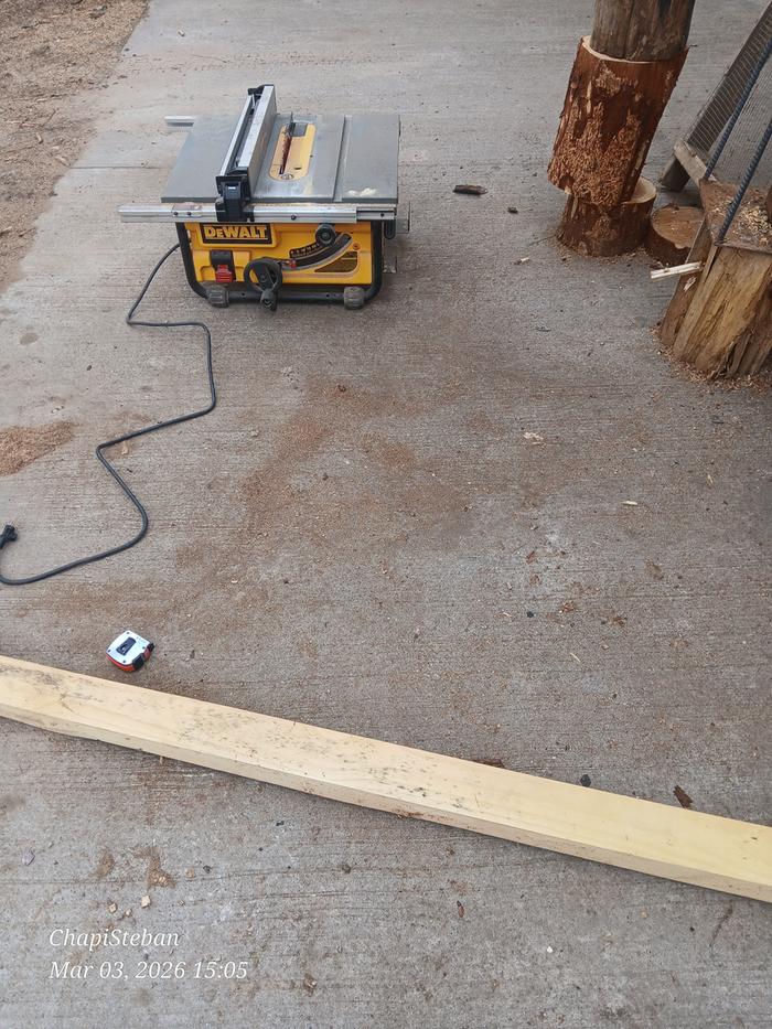 [Thumbnail for 20260303_150513.jpg]