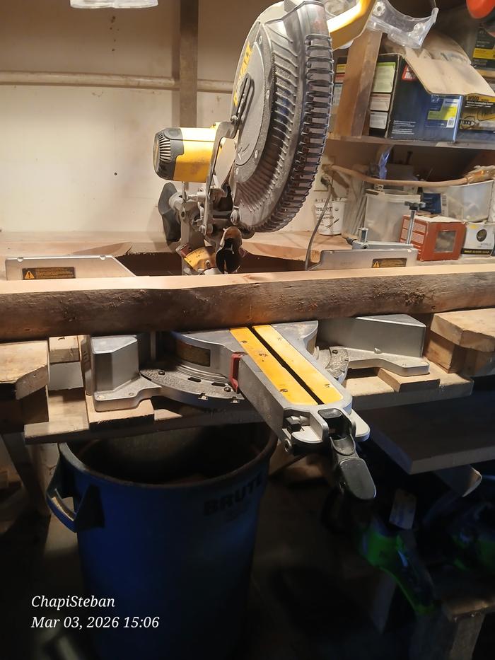 [Thumbnail for 20260303_150653.jpg]