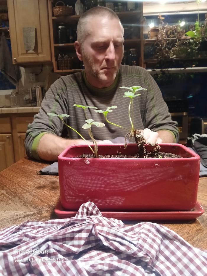 [Thumbnail for 20260303_185123.jpg]