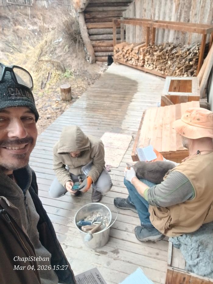 [Thumbnail for 20260304_152707.jpg]