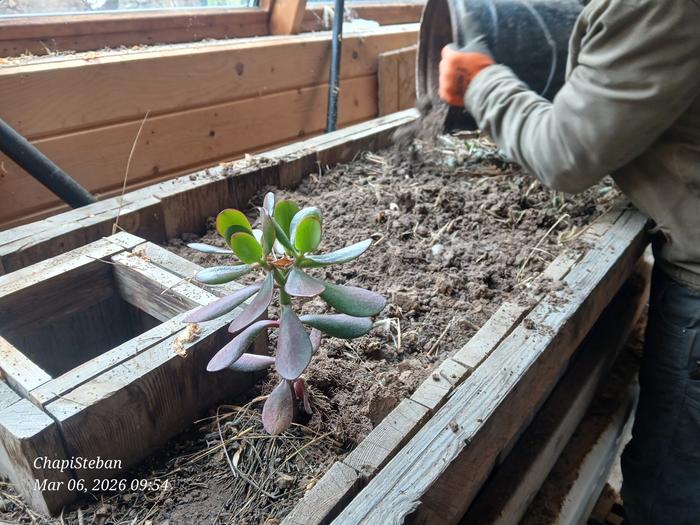 Green house growy basin 