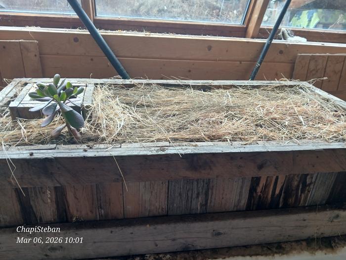 [Thumbnail for 20260306_100126.jpg]