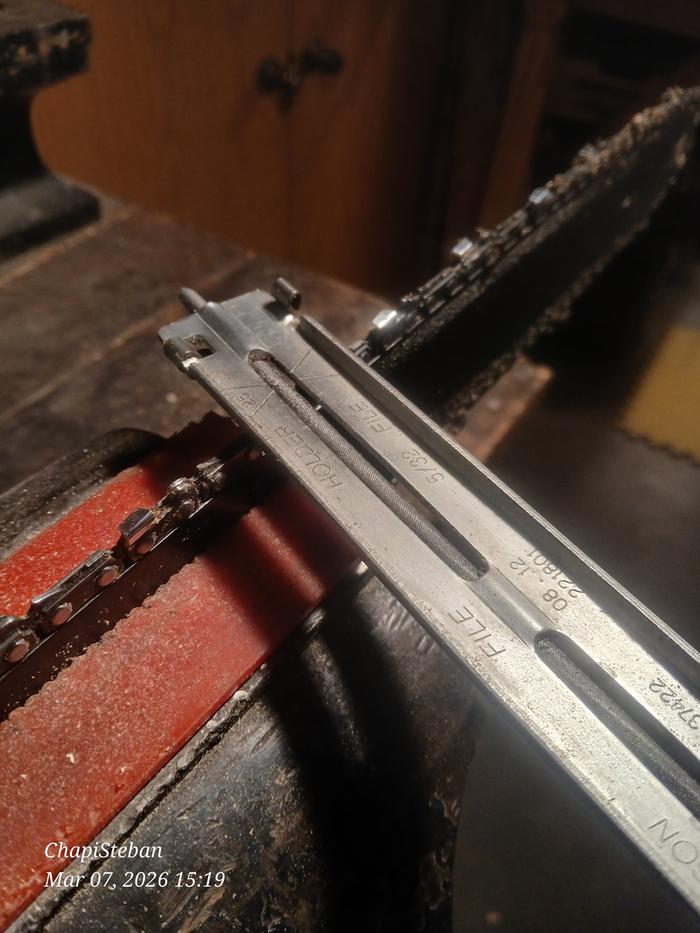 [Thumbnail for 20260307_151937.jpg]