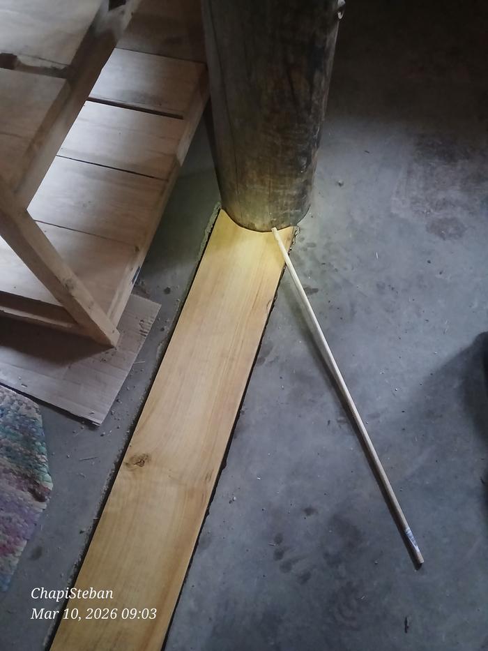 [Thumbnail for 20260310_090328.jpg]