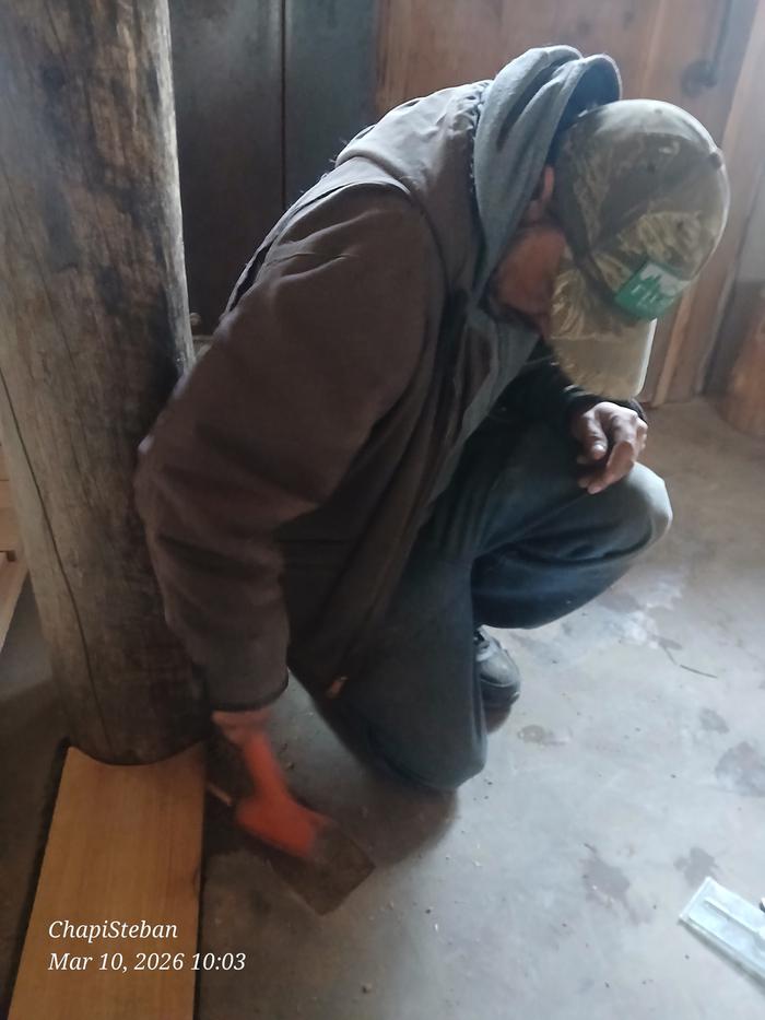 [Thumbnail for 20260310_100303.jpg]