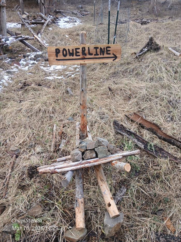 [Thumbnail for 20260310_142921.jpg]