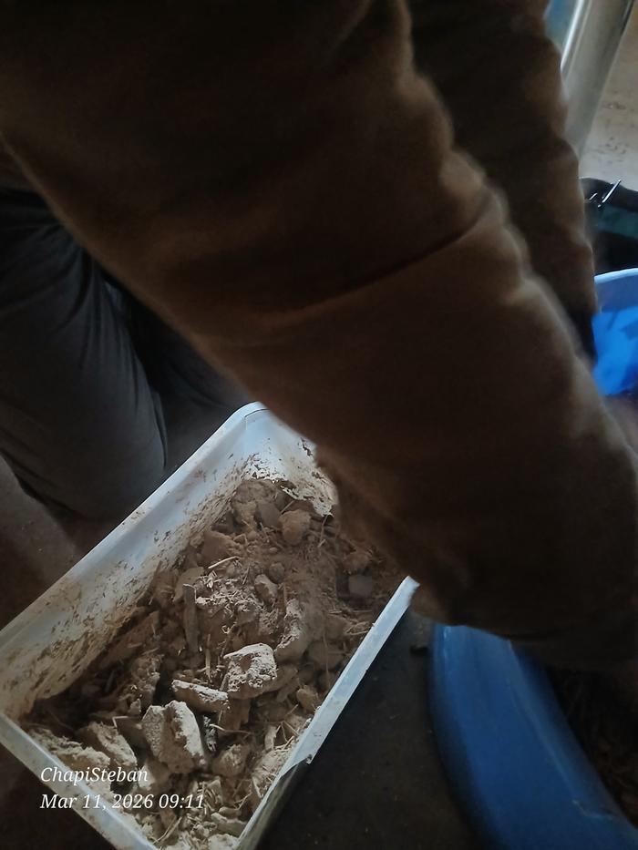 [Thumbnail for 20260311_091100.jpg]