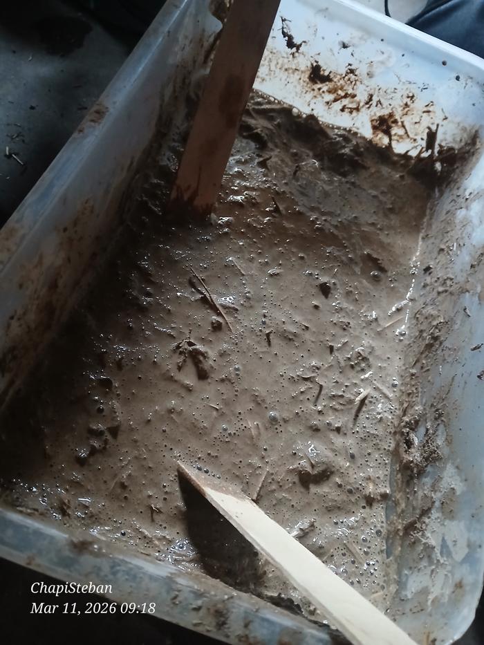 [Thumbnail for 20260311_091829.jpg]