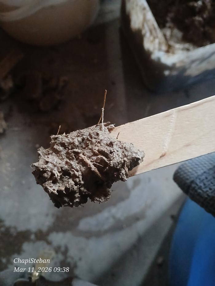 [Thumbnail for 20260311_093820.jpg]