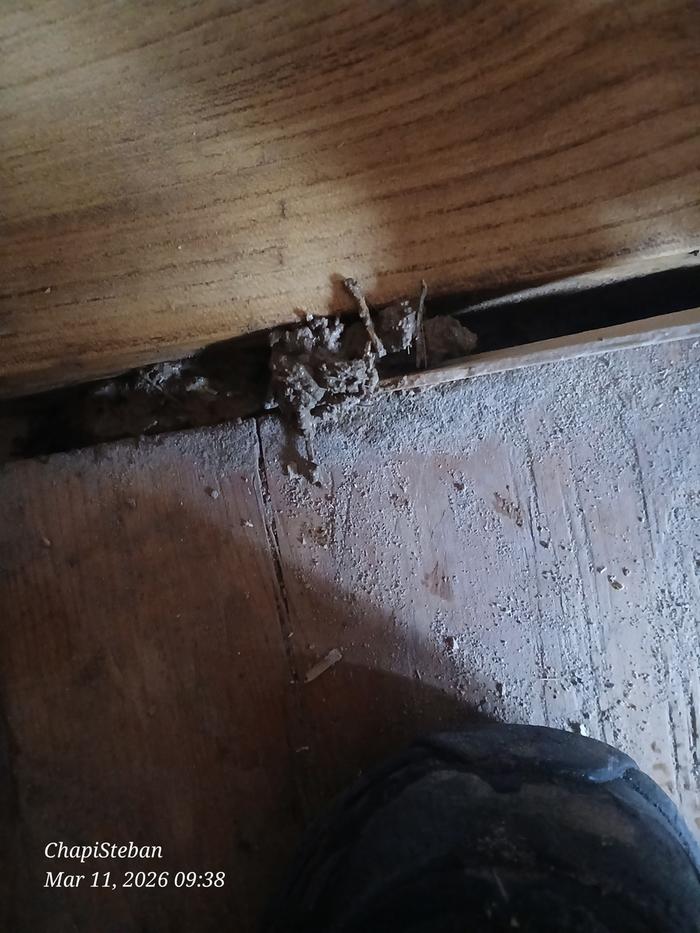 [Thumbnail for 20260311_093833.jpg]