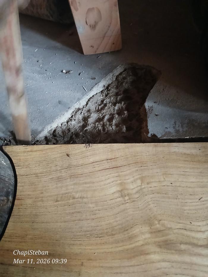 [Thumbnail for 20260311_093955.jpg]