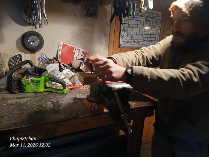 [Thumbnail for 20260311_120221.jpg]