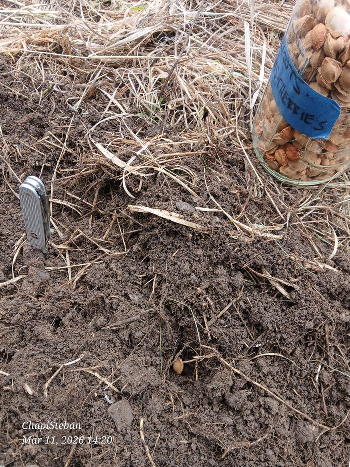 [Thumbnail for 20260311_142035.jpg]