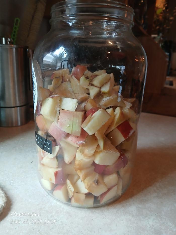 [Thumbnail for 20260311_152937.jpg]