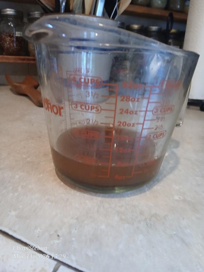 [Thumbnail for 20260311_152944.jpg]