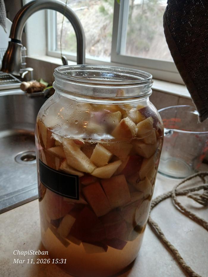 [Thumbnail for 20260311_153127.jpg]