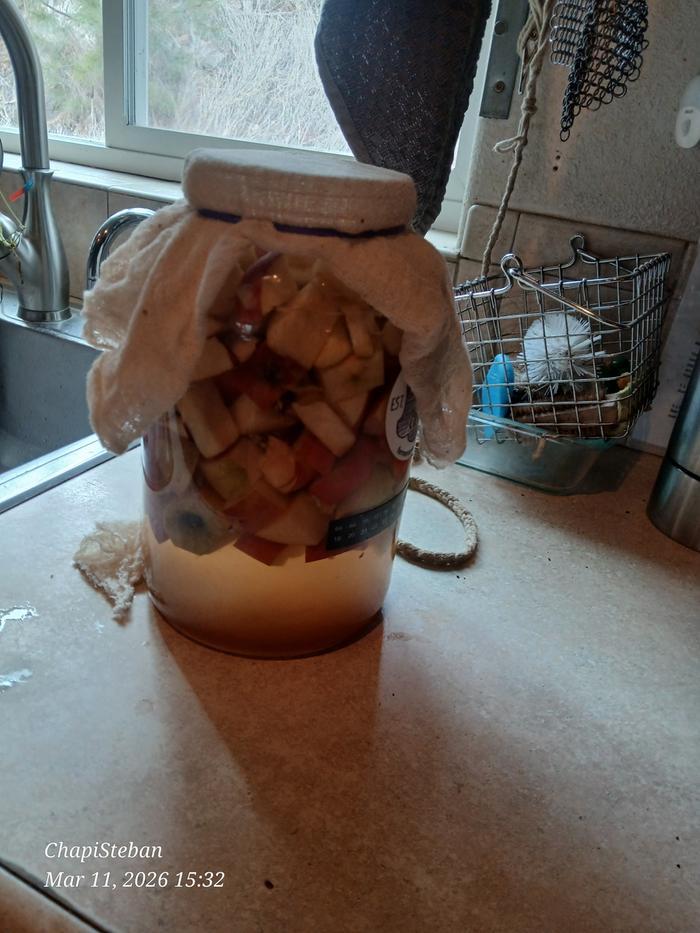 [Thumbnail for 20260311_153220.jpg]