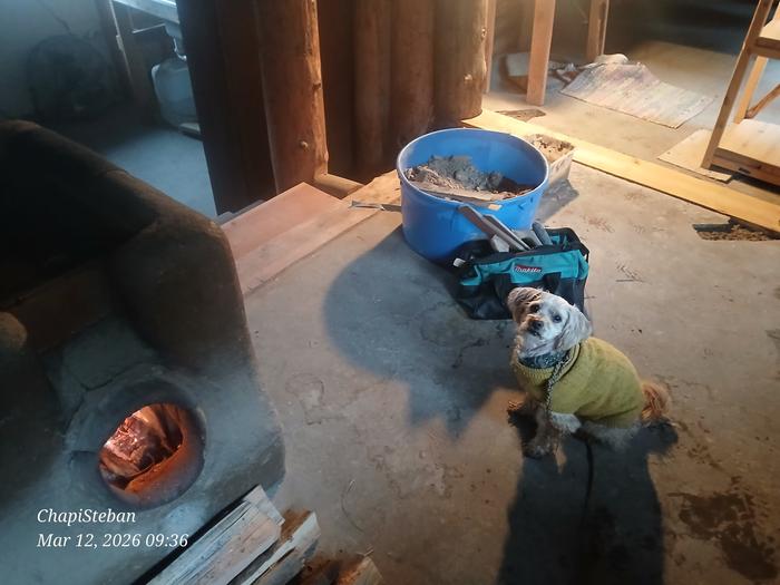 A dog warms itself next to a bucket of cob in a wofati cabin