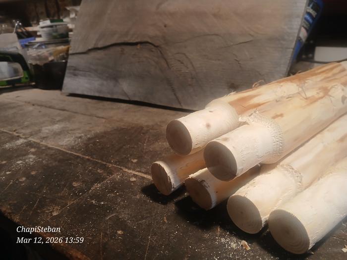 tenons on the end of some sticks