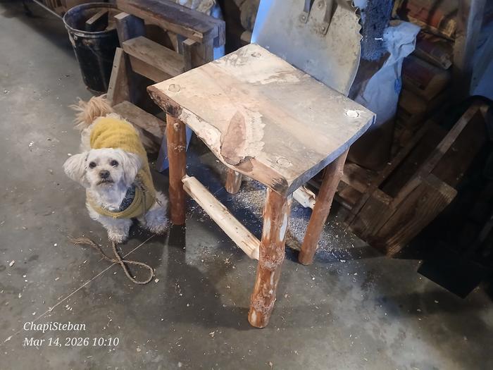 My cutie spokesman showcasing my uncompleted project 