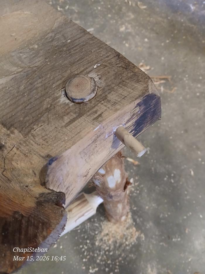 a peg ready to be pounded into a drawbore hole