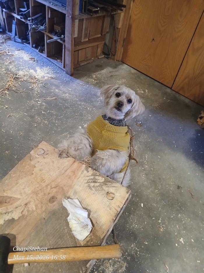 [Thumbnail for 20260315_165857.jpg]