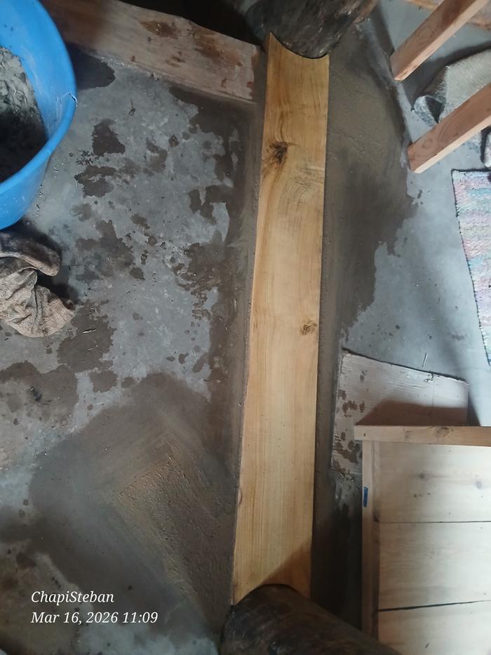 [Thumbnail for 20260316_110916.jpg]