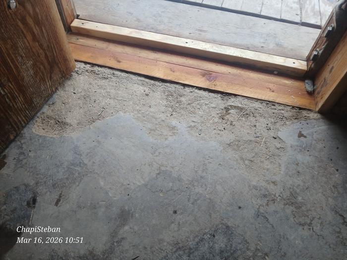 [Thumbnail for 20260316_105116.jpg]