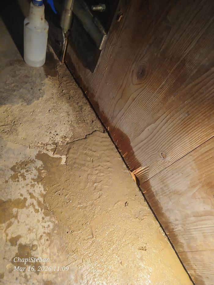 [Thumbnail for 20260316_110946.jpg]