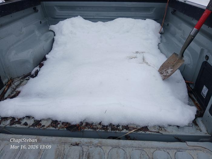 Snow, sticks and dirt in the back of a pickup truck