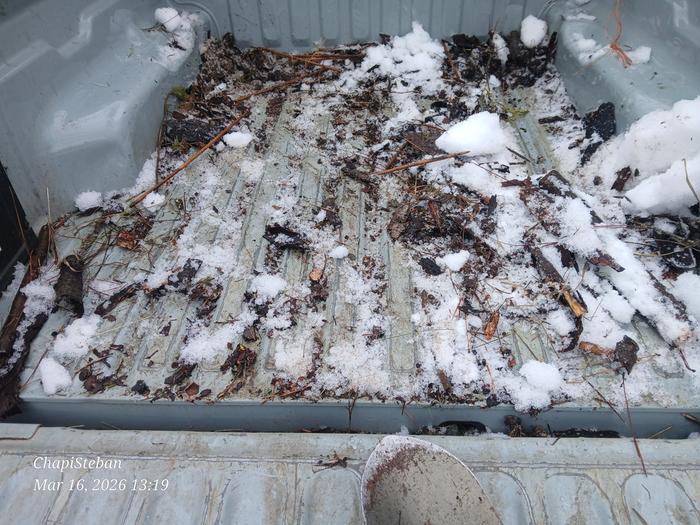 Most of the snow is out of the truck bed