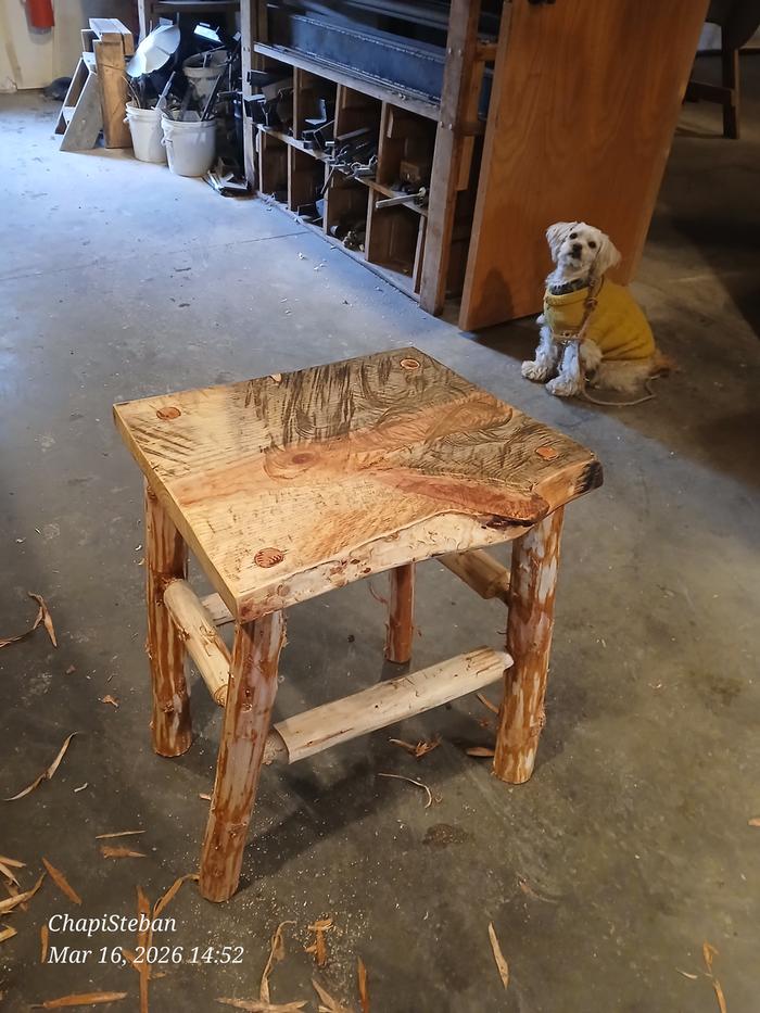 Esteban's finished end table with Chapi in the background
