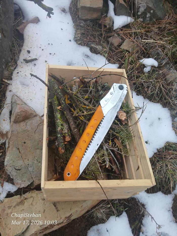 Woody bits processed 