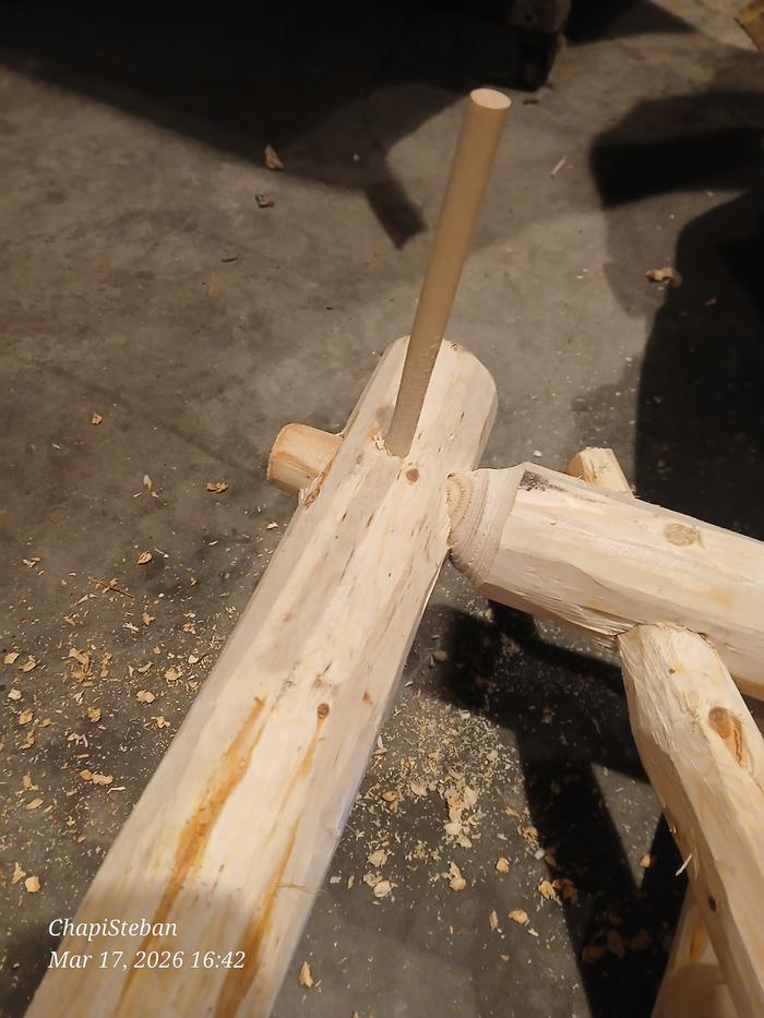 [Thumbnail for 20260317_164210.jpg]