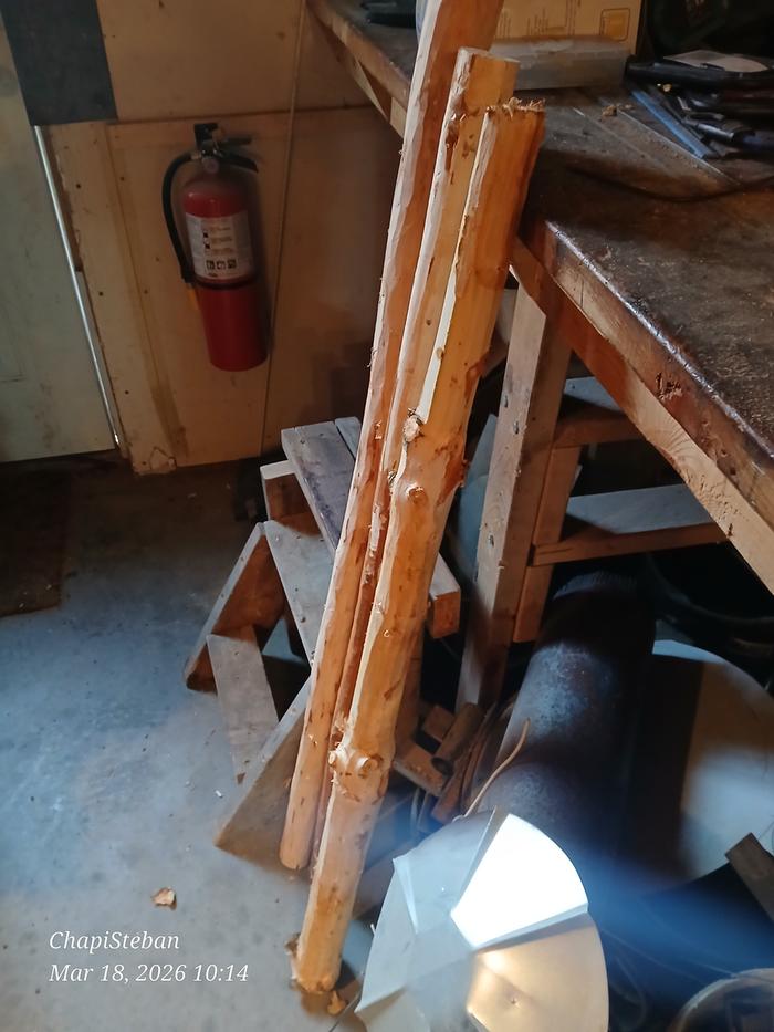 Couple of woody bits for me to debark 