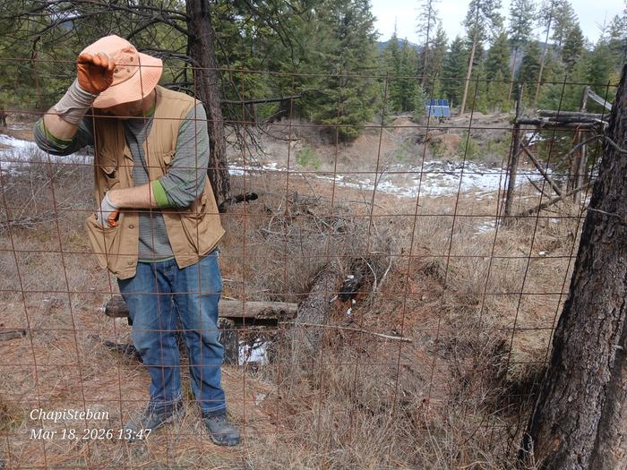 Metal fencing to cut to length 